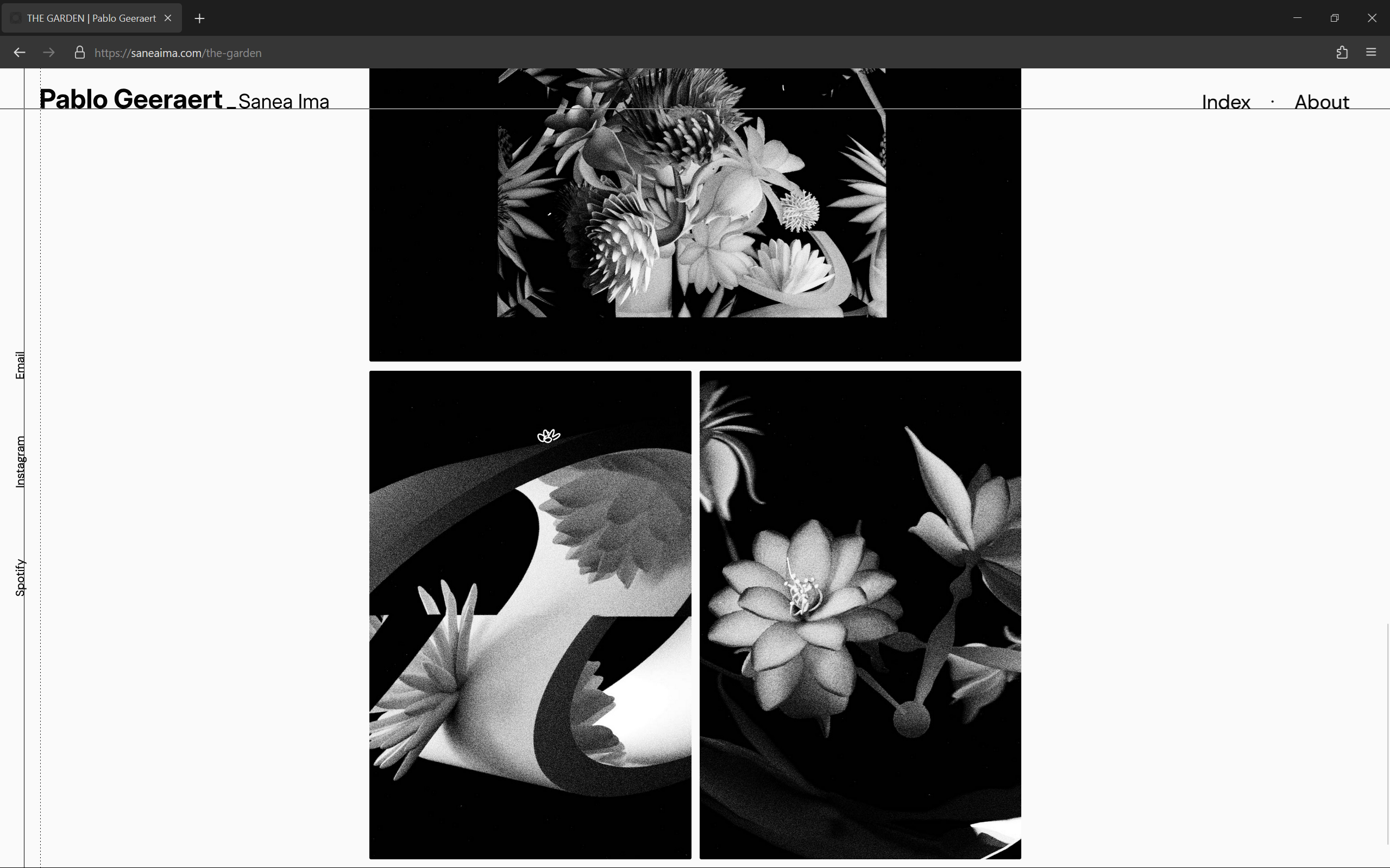 Image layout grid on website.